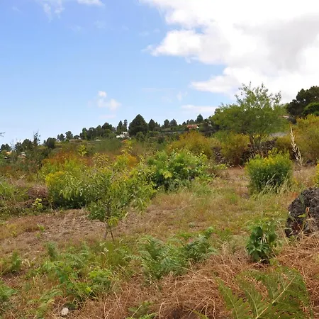 Oasis Hill Icod De Vinos B&B