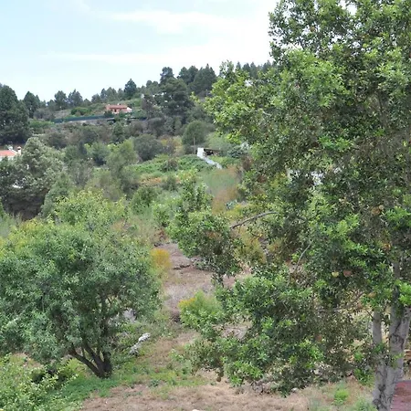 Oasis Hill Icod De Vinos 4*