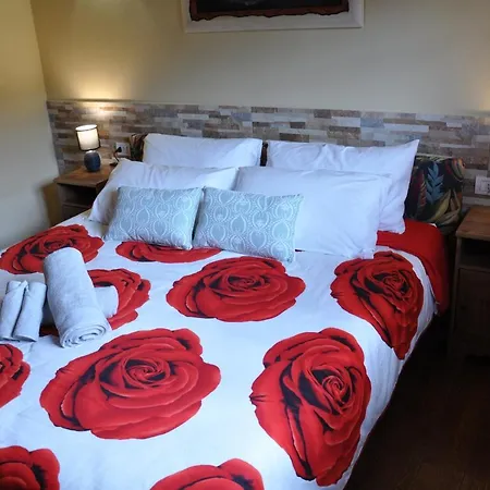 B&B Oasis Hill Icod De Vinos