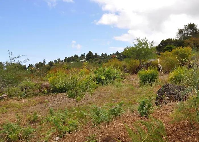 Oasis Hill Icod De Vinos Bed & Breakfast