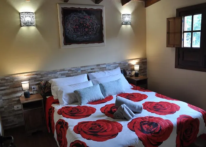 Bed & Breakfast Oasis Hill Icod De Vinos