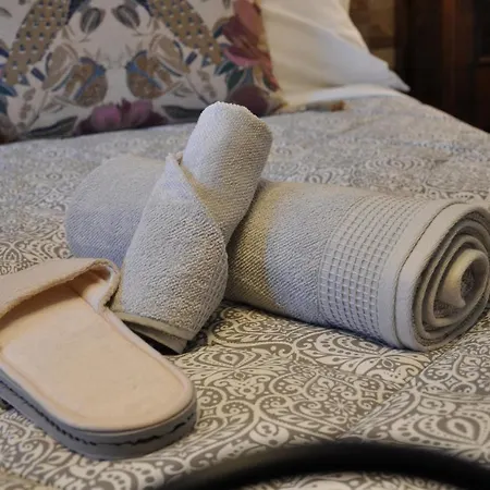 לינה וארוחת בוקר Oasis Hill Icod De Vinos 4*