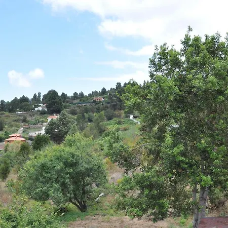 Oasis Hill Icod De Vinos B&B