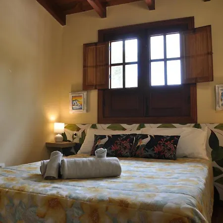 Oasis Hill Icod De Vinos איקוד דה לוס וינוס