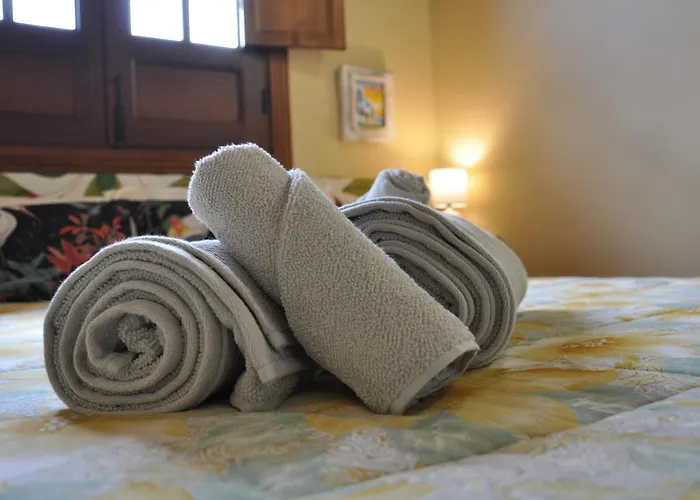 Bed and Breakfast Oasis Hill Icod De Vinos