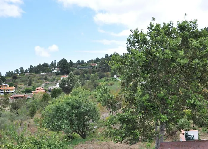 Oasis Hill Icod De Vinos B&B